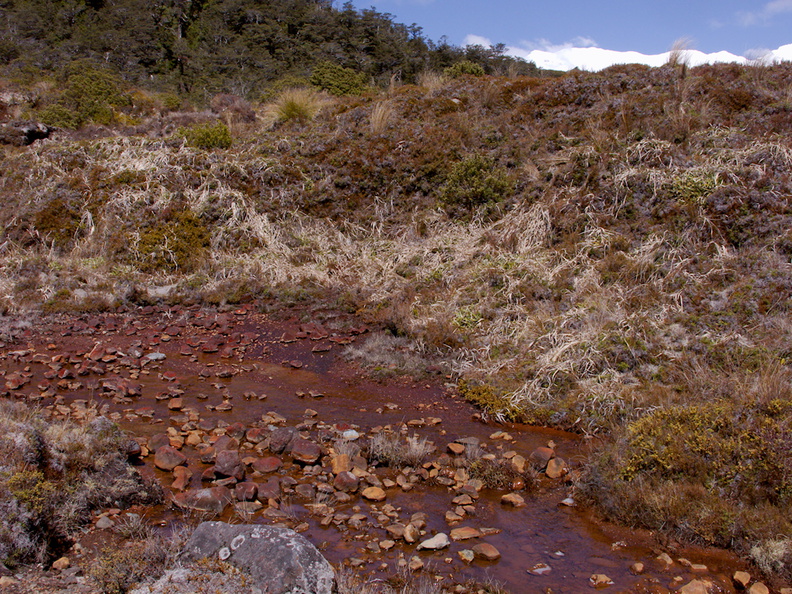 rusty-rocks-Silica-Rapids-Track-Tongariro-2015-11-02-IMG_6200.jpg