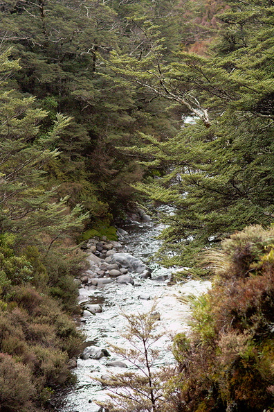 stream-gorge-Taranaki-Falls-trail-Tongariro-24-06-2011-IMG_2520.jpg