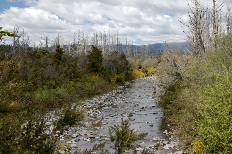 view-Tongariro-River-Walk-2015-10-31-IMG 2338