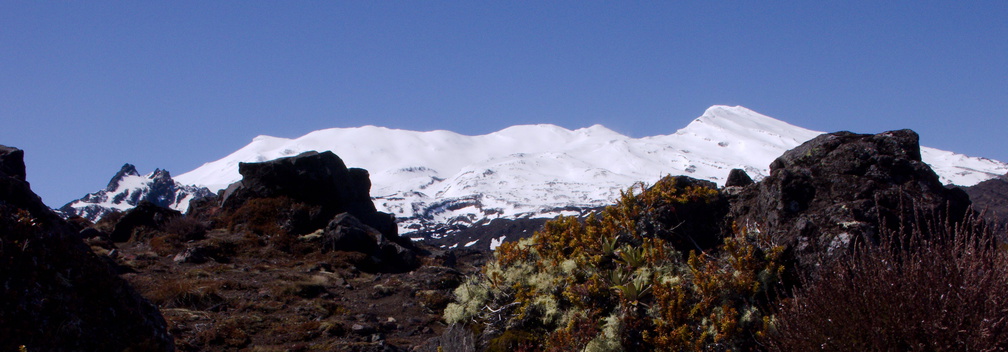 view-of-Ruapehu-near-ski-area-Tongariro-2015-11-05-IMG 6253