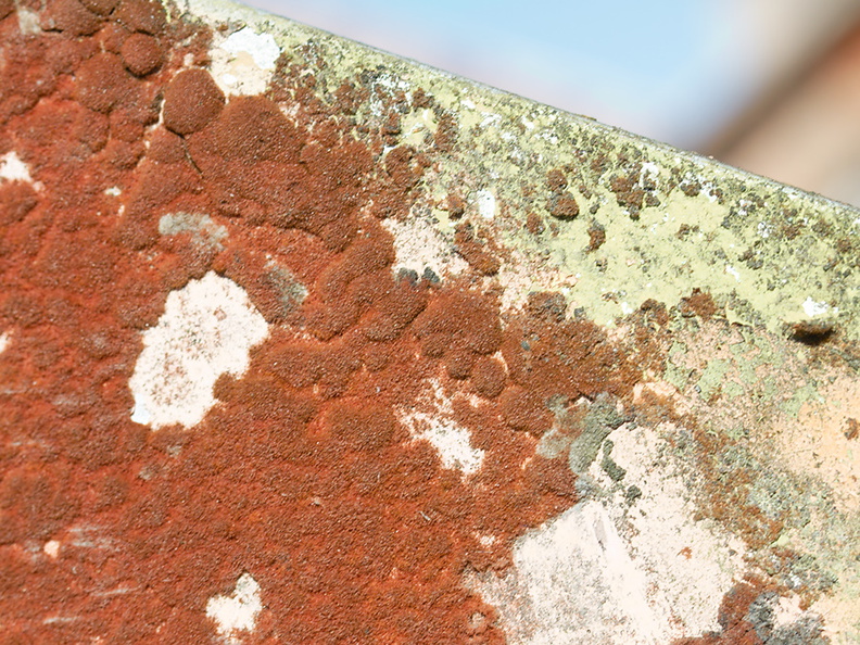 rusty-crustose-lichen-on-radio-tower-at-summit-Rainbow-Mtn-2013-06-29-IMG_8637.jpg