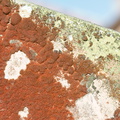 rusty-crustose-lichen-on-radio-tower-at-summit-Rainbow-Mtn-2013-06-29-IMG 8637