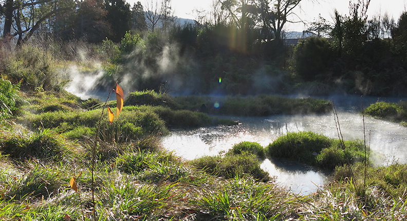 thermal-pool-Kuirau-Park-Rotorua-2013-06-26-IMG_1993.jpg