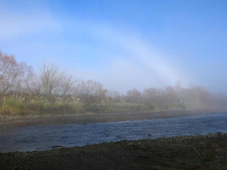 fogbow-Horomanga-River-Te-Urewera-2013-06-25-IMG_1913.jpg
