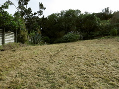 Hill-Place-mowed-one-day-earlier-2017-05-29-IMG 8388