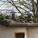 Hundertwasser-toilet-ancillary-green-roof-Kawakawa-09-07-2011-IMG 9139
