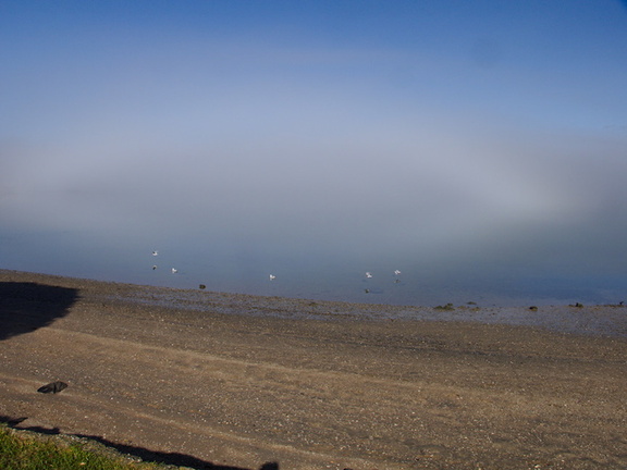fogbow-at-Beach-Rd-Onerahi-2016-06-20-IMG 6992