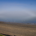 fogbow-at-Beach-Rd-Onerahi-2016-06-20-IMG_6992.jpg