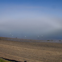 fogbow-at-Beach-Rd-Onerahi-2016-06-20-IMG 6992