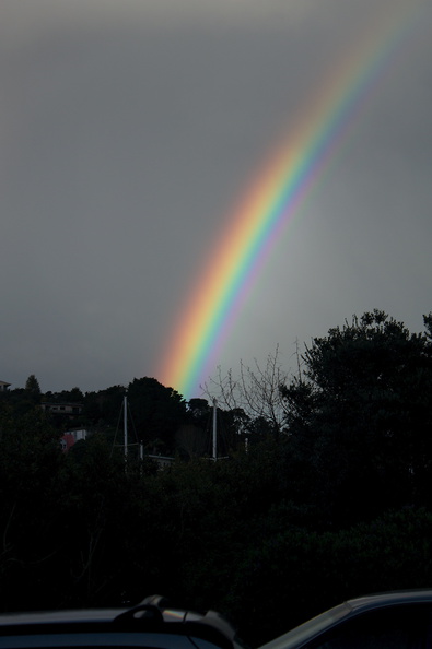 rainbow-Whangarei-15-07-2011-IMG 2965