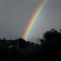 rainbow-Whangarei-15-07-2011-IMG 2965