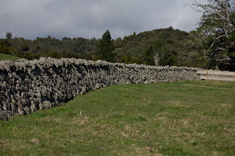 stone-farm-walls-on-approach-road-to-Pukenui-Reserve-Whangarei-2013-07-11-IMG_9207.jpg