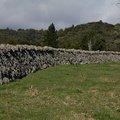 stone-farm-walls-on-approach-road-to-Pukenui-Reserve-Whangarei-2013-07-11-IMG 9207