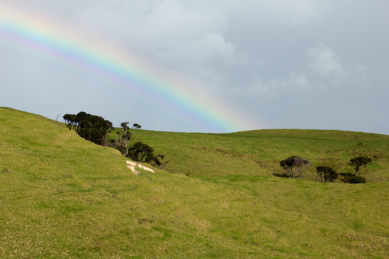 view-of-rainbow-over-Smugglers-Track-pastureland-Whangarei-Heads-2013-07-12-IMG_9307.jpg