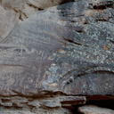 petroglyphs-Great-Hunt-Nine-Mile-Canyon-Uintas-2016-11-07-IMG 3557