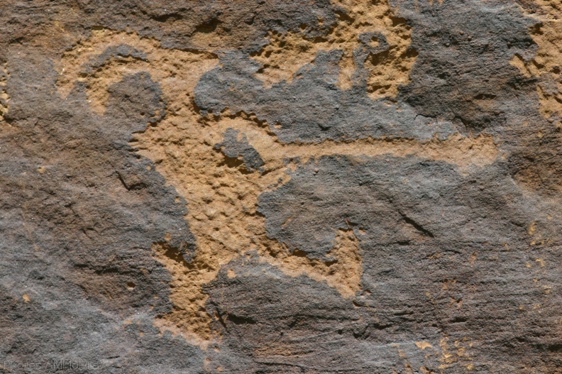 petroglyphs-Nine-Mile-Canyon-15-2005-07-22.jpg