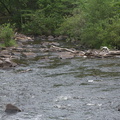 Pike-River-Amberg-Wisconsin-2012-07-17-IMG_6255.jpg