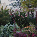 garden_biglilies_03vi01.jpg