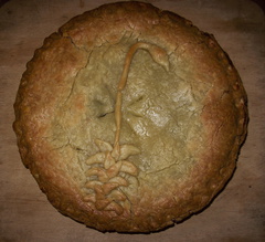 pie-with-bryum-pie-art-2011-12-26-IMG 0273