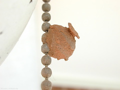 potter wasp nest on pullchain2