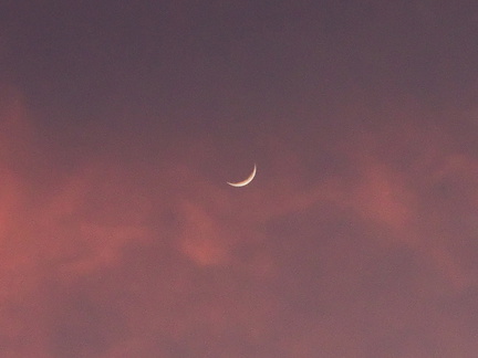crescent-moon-sunset-2011-01-07-IMG 6881