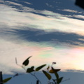iridescent-clouds-1-2006-02-06.jpg
