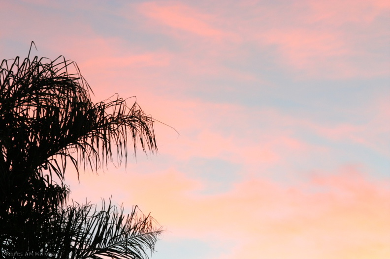 sunset-pink-clouds-2006-02-06