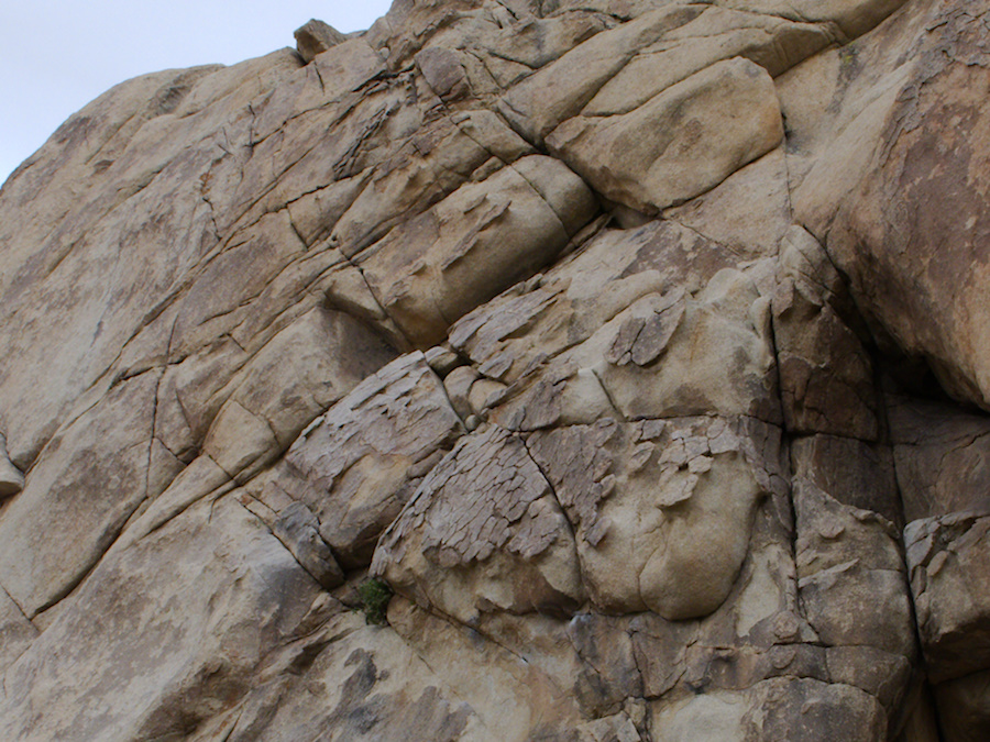 rock-formations-and-weathering-Barker-Dam-trail-Joshua-Tree-NP-2016-03-05-IMG 6542