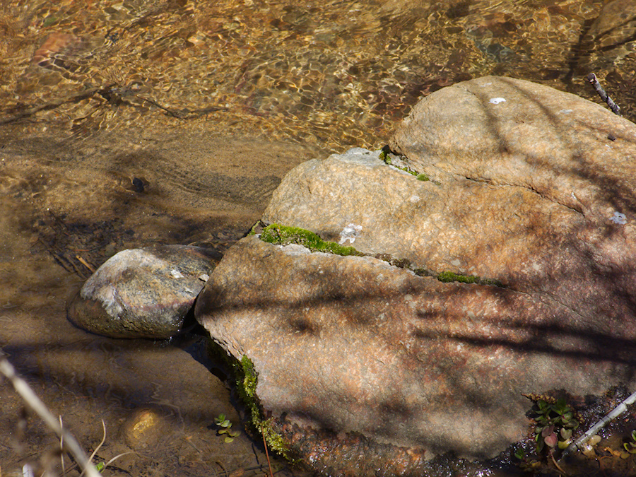 moss-in-stream-rock--creek-rte38-San-Bernardino-Natl-Forest-2015-03-28-IMG 4539